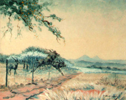 Bild Springender Kudu von Uli Aschenborn